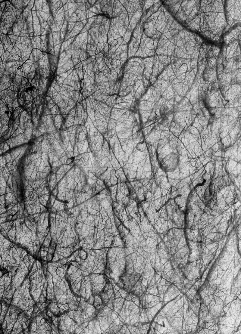 Illustration for article titled 8 Incredible Images That Make Mars Look Like A Petri Dish
